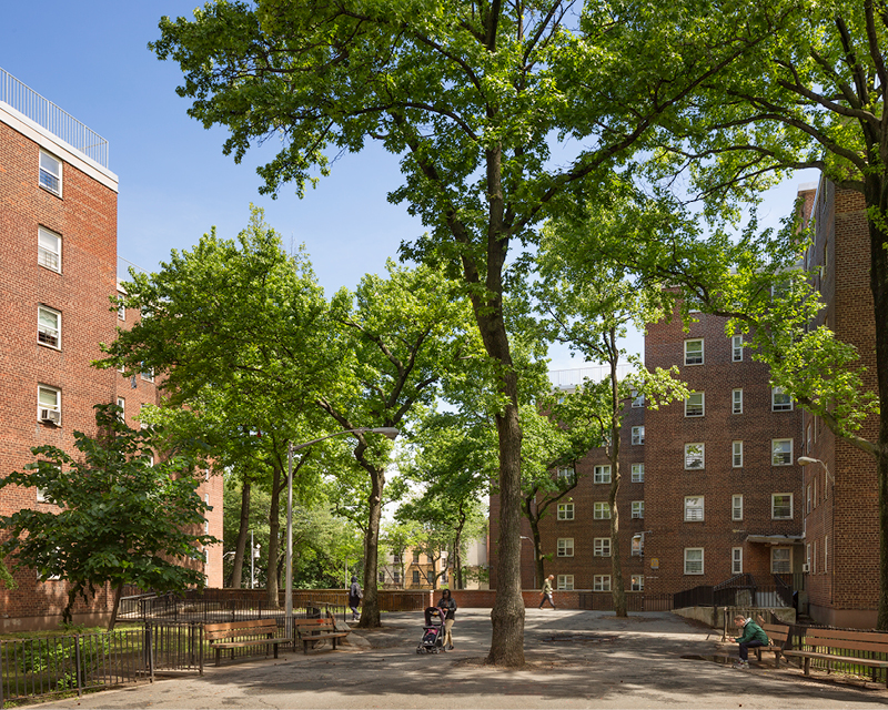 NYCHA Kingsborough Houses