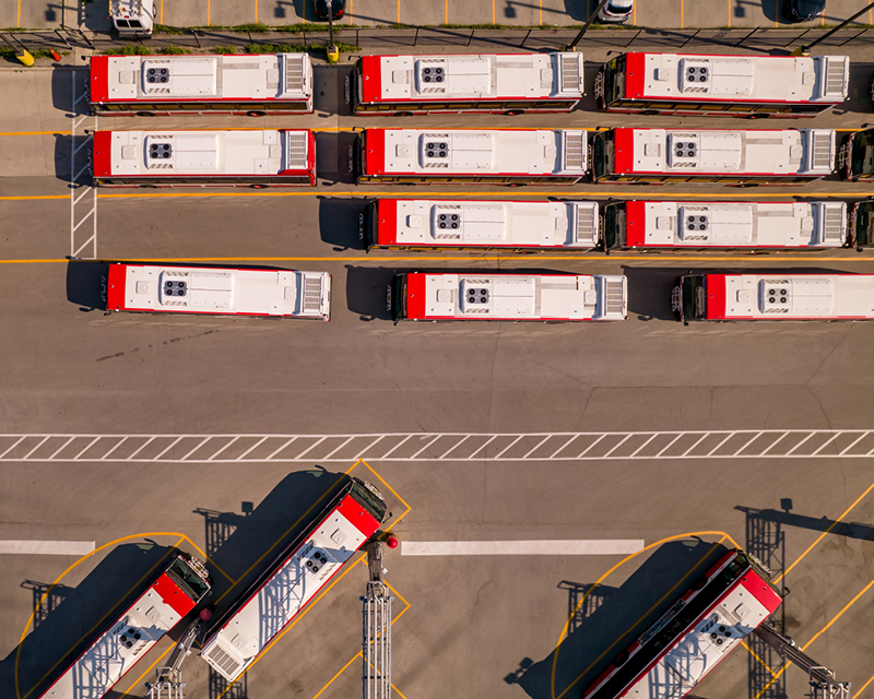 Toronto Transit Commission ZE Buses