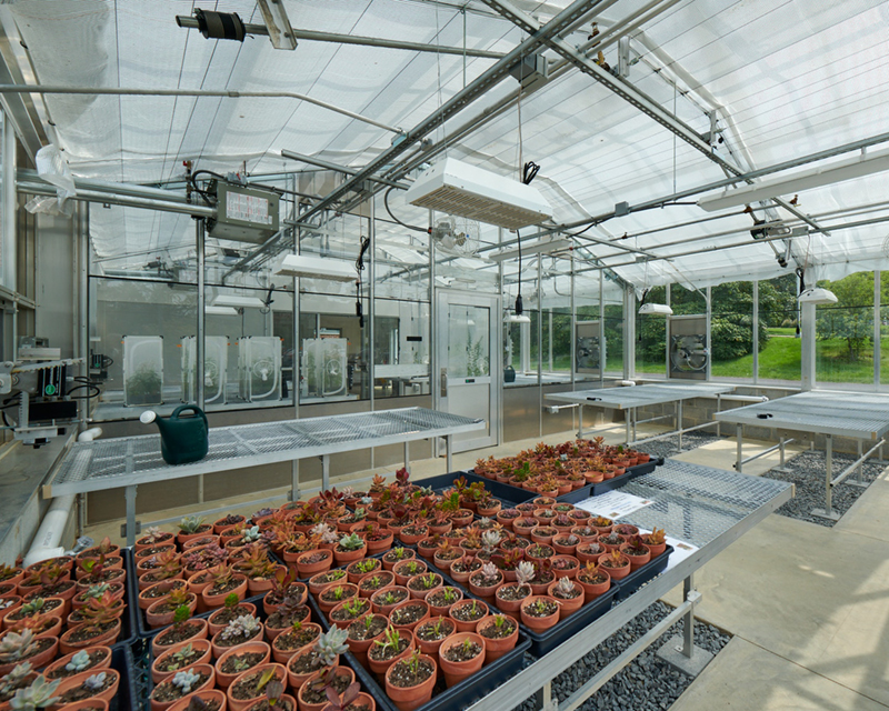 Interior view of Kutztown University Botanical Research Center greenhouse