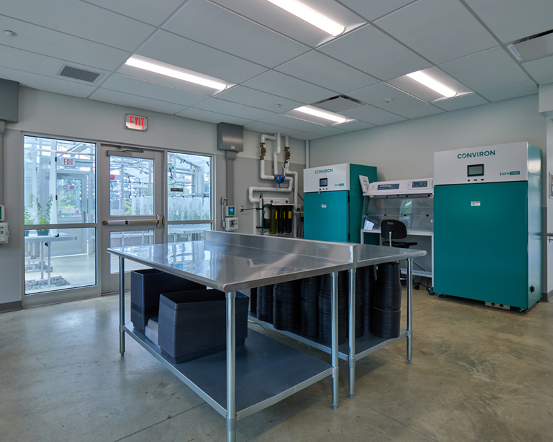 Interior view of Kutztown University Botanical Research Center greenhouse