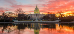 The Capitol Building in Washington, D.C.