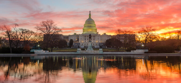 The Capitol Building in Washington, D.C.