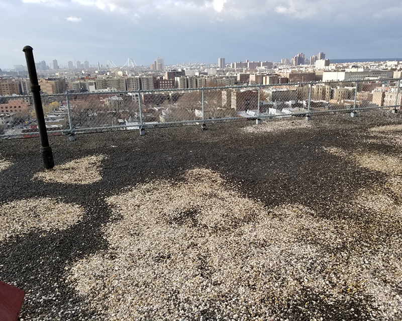 Samples of roof repairs made at NYCHA housing throughout New York City.