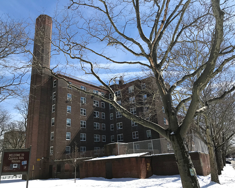 Exterior view of the NYCHA Cypress Hills Houses.