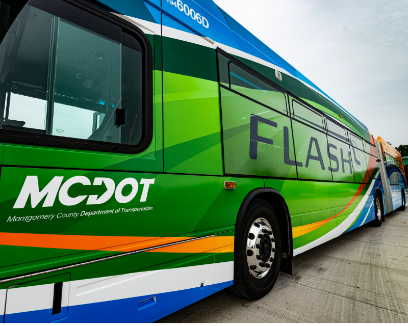 Close-up showcasing green, blue and white Flash BRT vehicle branding