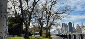City skyline with trees in foreground