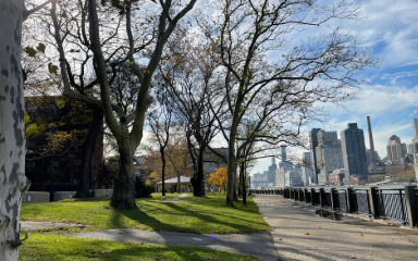 City skyline with trees in the foreground