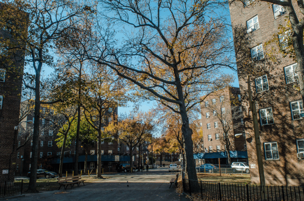 Ground shot of trees in front of NYCHA building complex in New York City.