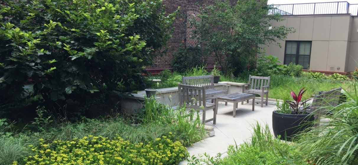 Wooden bench on sidewalk path surrounded by greenery