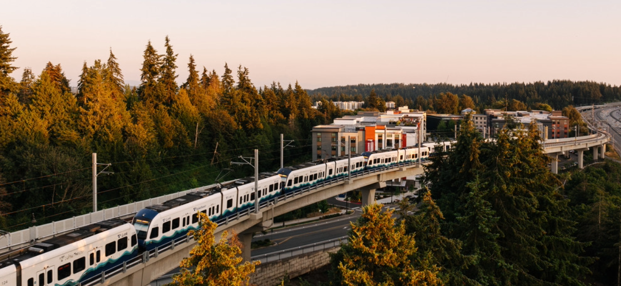 Train on elevated track cutting through woods at sunrise overhead view